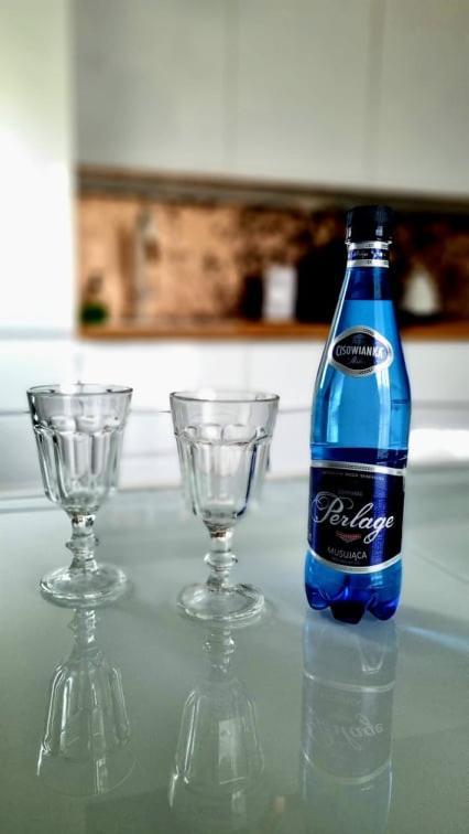 Apartament Na Kaszubach Косцежина Экстерьер фото