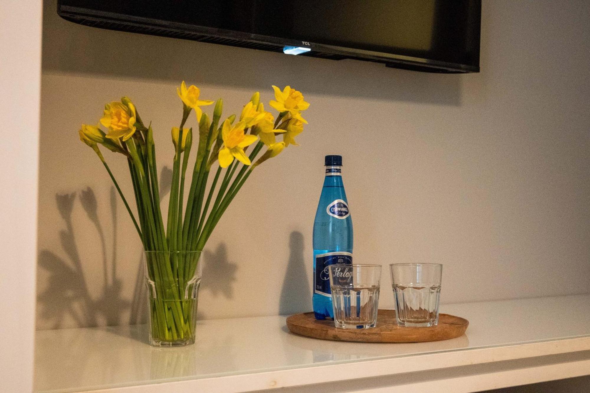 Apartament Na Kaszubach Косцежина Экстерьер фото